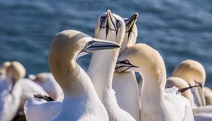 九游游戏中心官网-朱婷助球队拿下关键战女排世界杯，朱婷女排吧 朱婷个站