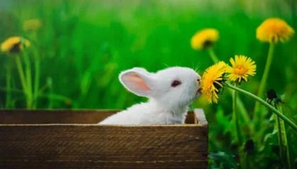 九游游戏中心官网-朱婷助球队拿下关键战女排世界杯，朱婷女排吧 朱婷个站