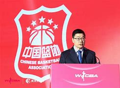 包含2025中国篮球竞技水平稳步提升，国际影响力扩大的词条