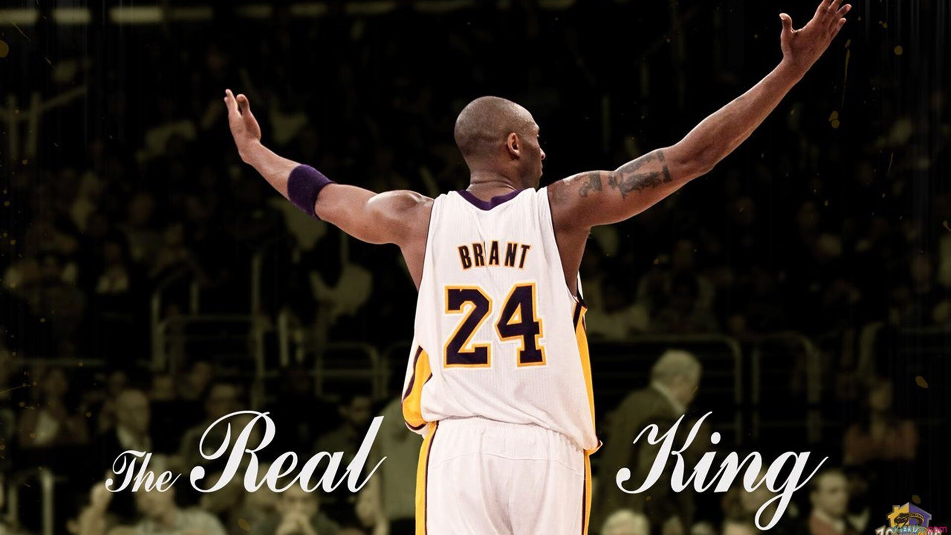 史上最“热血”的季后赛用战，激动人心的对决回顾，季后赛胜率排行榜